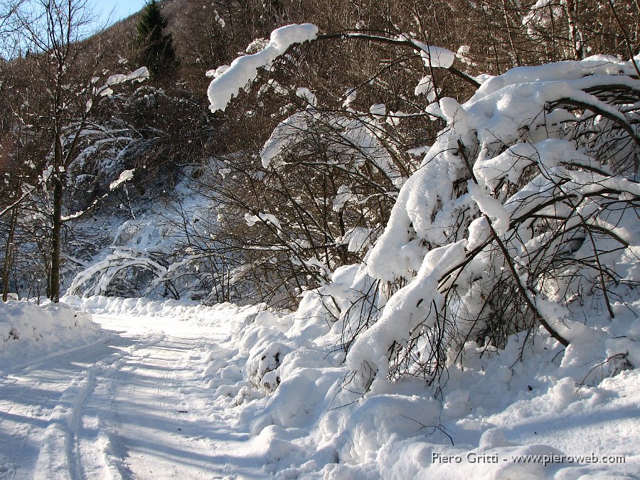 02 Strada ammantata di neve.jpg